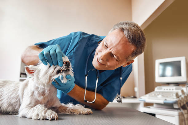 Best Emergency Dental Surgery in Decatur, IL
